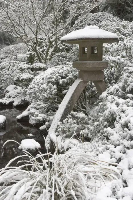 Framed Print : Snow-covered stone lantern, Portland Japanese Garden, Oregon