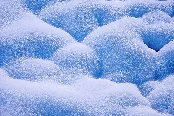 Snow detail, Yellowstone National Park
