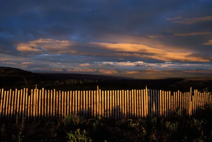 Framed Print : snow fence in the midnight sun, Demster highway, Yukon Territory, Canada
