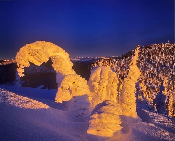 Snow ghosts at sunset on Big Mountain in the Whitefish Range in Whitefish, Montana, USA