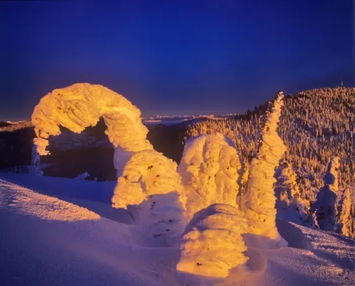Framed Print : Snow ghosts at sunset on Big Mountain in the Whitefish Range in Whitefish, Montana, USA Framed Print : Snow ghosts at sunset on Big Mountain in the Whitefish Range in Whitefish, Montana, USA
