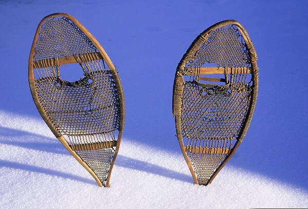 Snow shoes were used by many tribes of the Sub-Arctic regions such as the Athabaskan