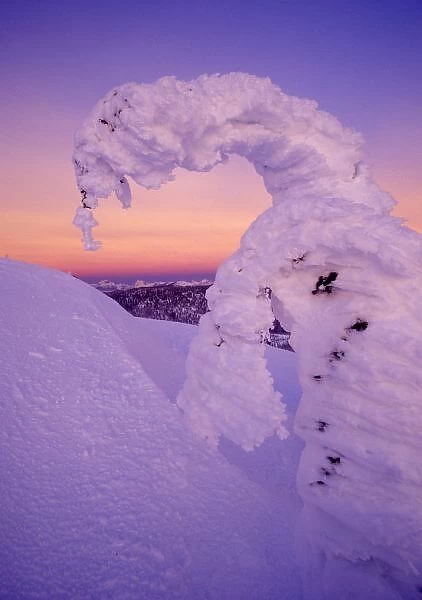 Snowghost in the Whitefish Range at Twilight in Montana