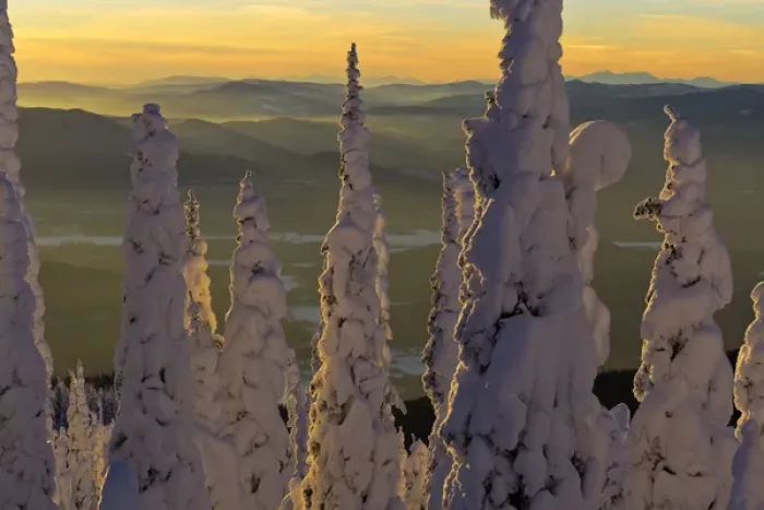 Framed Print : Snowghosts at sunset looking west to the Salish Mountains from the summit of Big Framed Print : Snowghosts at sunset looking west to the Salish Mountains from the summit of Big