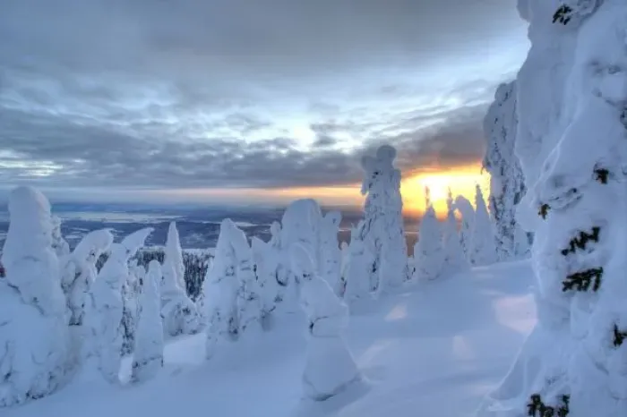 Framed Print : Snowghosts at sunset at Whitefish Mountain Resort in Montana Framed Print : Snowghosts at sunset at Whitefish Mountain Resort in Montana