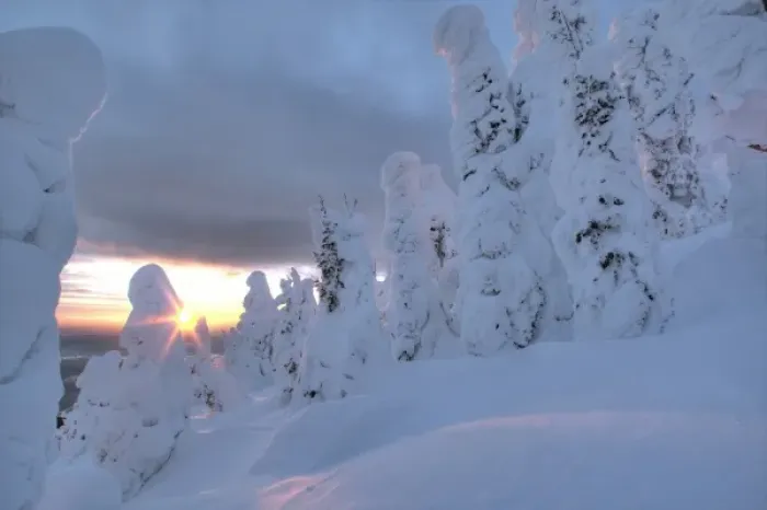 Framed Print : Snowghosts at sunset at Whitefish Mountain Resort in Montana Framed Print : Snowghosts at sunset at Whitefish Mountain Resort in Montana