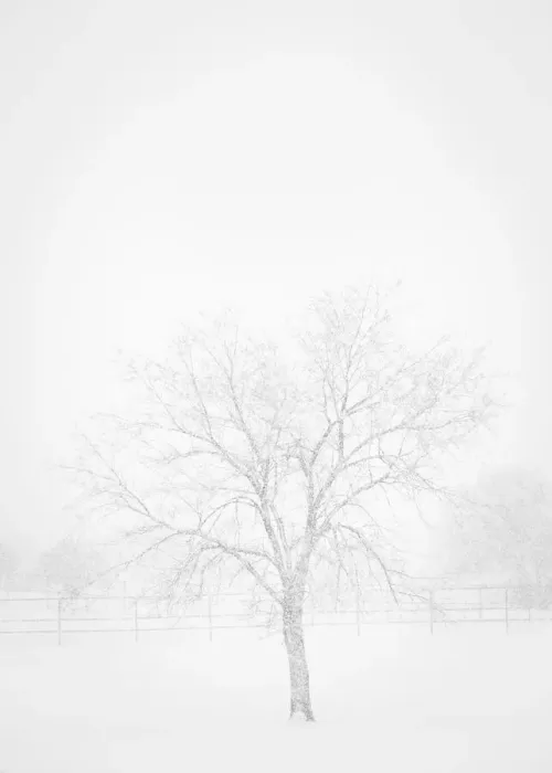 Framed Print : Snowscape in New Mexico Framed Print : Snowscape in New Mexico