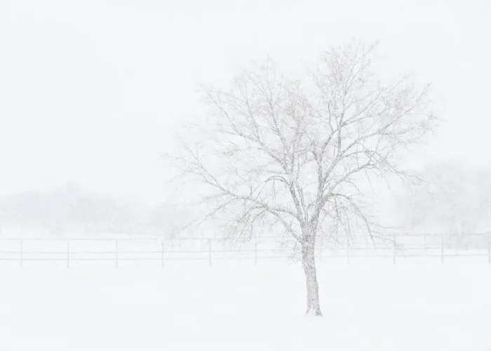 Framed Print : Snowscape in New Mexico Framed Print : Snowscape in New Mexico