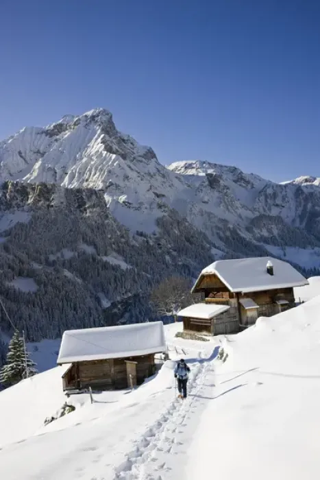 Framed Print : Snowshoeing in Griesalp and Steineberg in deep snow in Kiental Framed Print : Snowshoeing in Griesalp and Steineberg in deep snow in Kiental