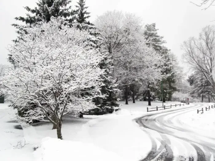 Framed Print : Snowy lane, rail fence, snow covered trees Framed Print : Snowy lane, rail fence, snow covered trees