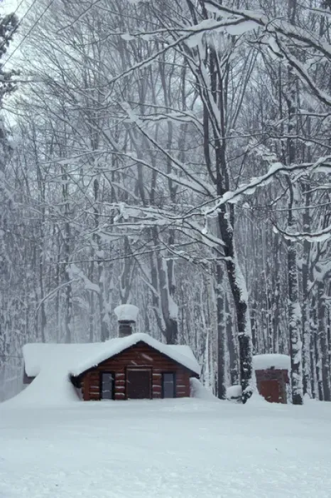 Framed Print : Snowy Log Cabin in Woods; Chippewa County; Near Paradise, MICHIGAN