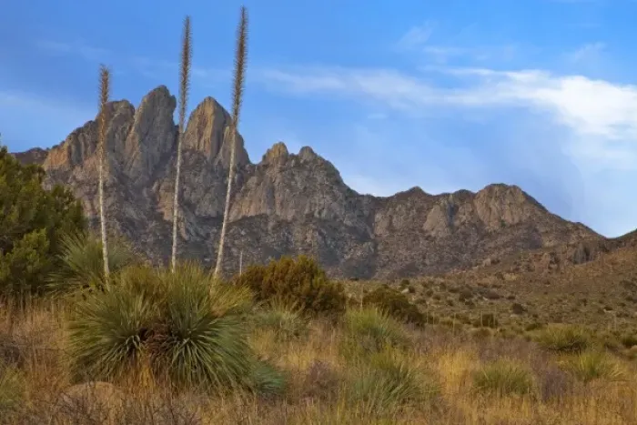 Framed Print : Soaptree Yucca and the Organ Mountains at Aguirre Springs National Recreation Area