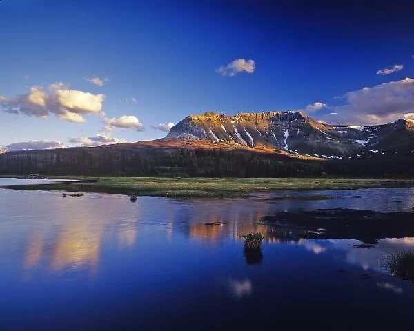 Sofa Mountain Reflects in Beaver Pond in Waterton Lakes National Park in Alberta Canada