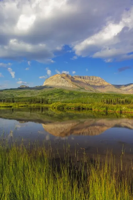 Framed Print : Sofa Mountain reflects into beaver pond in Waterton Lakes National Park, Alberta, Canada Framed Print : Sofa Mountain reflects into beaver pond in Waterton Lakes National Park, Alberta, Canada