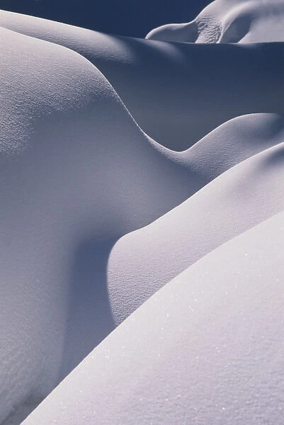 Soft snow shapes, Wasatch Mountains, Utah