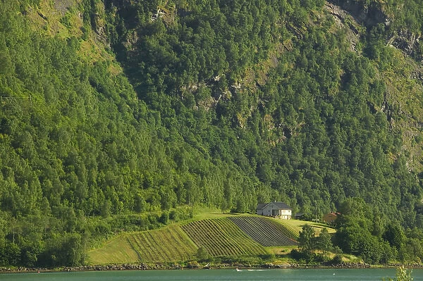 Sogne Fjord; Southern Fjord, Norway