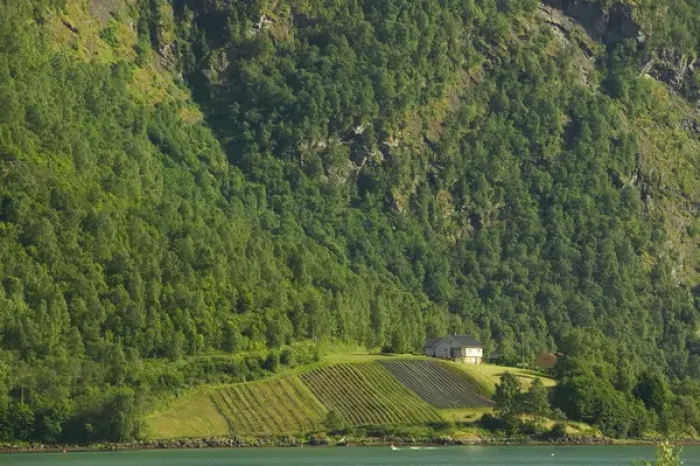 Framed Print : Sogne Fjord; Southern Fjord, Norway