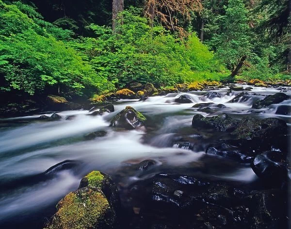 Sol duc Creek flows through Olympic National Park in Washington