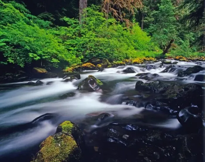 Framed Print : Sol duc Creek flows through Olympic National Park in Washington Framed Print : Sol duc Creek flows through Olympic National Park in Washington