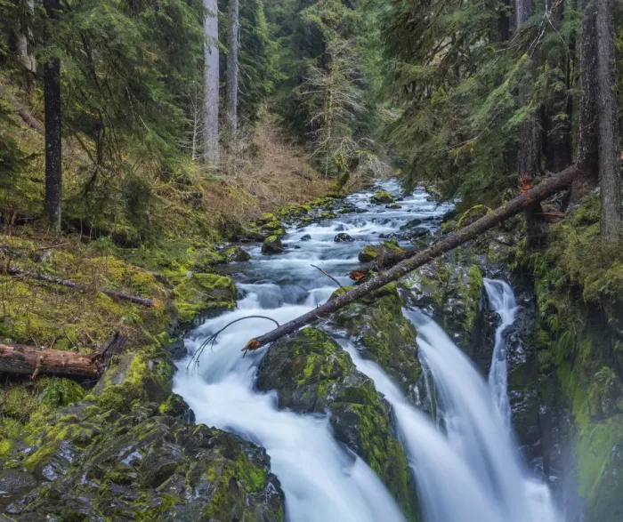 Framed Print : Sol Duc Falls in Olympic National Park, Washinton, USA Framed Print : Sol Duc Falls in Olympic National Park, Washinton, USA