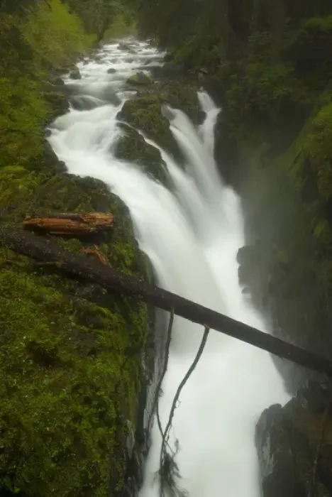Framed Print : Sol Duc Falls, Olympic National Park, Washington, US Framed Print : Sol Duc Falls, Olympic National Park, Washington, US