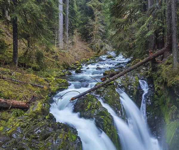 Sol Duc Falls in Olympic National Park, Washinton, USA