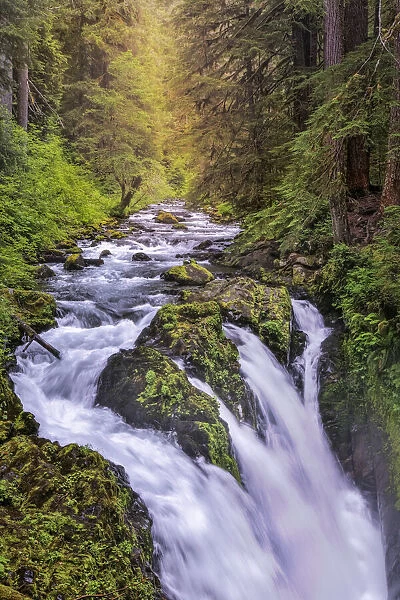 Sol Duc River and Falls, Olympic National Park, Washington State