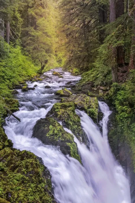 Framed Print : Sol Duc River and Falls, Olympic National Park, Washington State Framed Print : Sol Duc River and Falls, Olympic National Park, Washington State