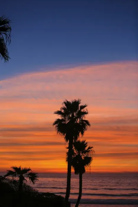 Framed Print : Solana Beach, San Diego County, California. Palm trees face the ocean during a pink