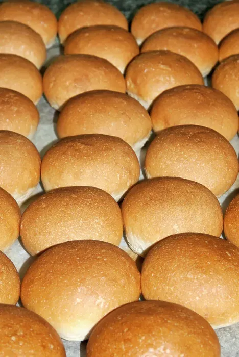 Framed Print : Sourdough bread rolls, cooked in the baker's laboratory, Italy Framed Print : Sourdough bread rolls, cooked in the baker's laboratory, Italy