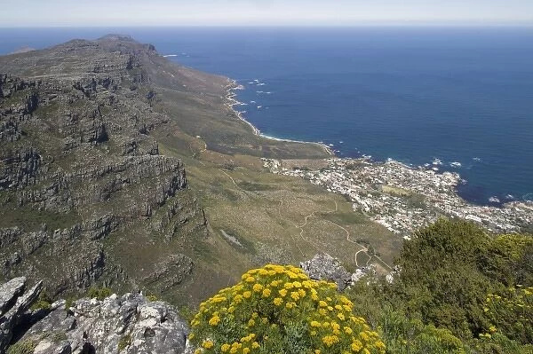 South Africa, Cape Town, Table Mountain National Park, Rugged coastline of Cape Peninsula