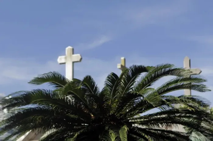 Framed Print : South America, Argentina, Buenos Aires. Crosses and palm at La Recoleta Cemetary Framed Print : South America, Argentina, Buenos Aires. Crosses and palm at La Recoleta Cemetary