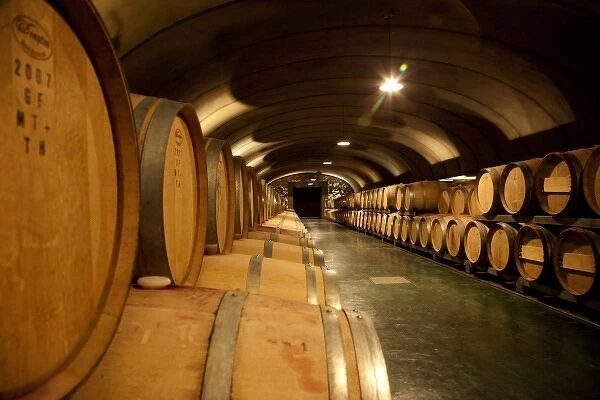South America, Argentina, Mendoza. Wine cellar at Vistalba Winery