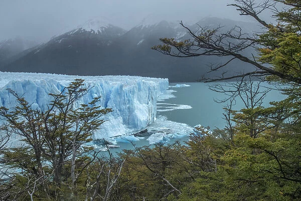 South America, Argentina, Patagonia, El Calafate. Glacial ice on Lake Argentina