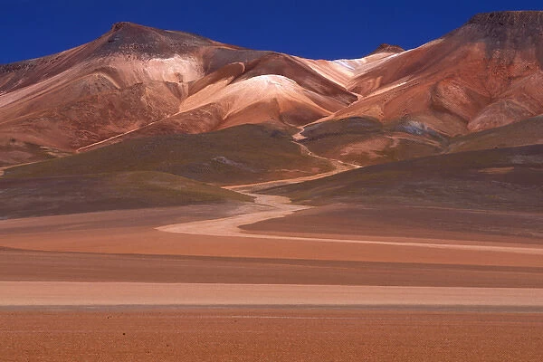 South America, Bolivia. Altiplano