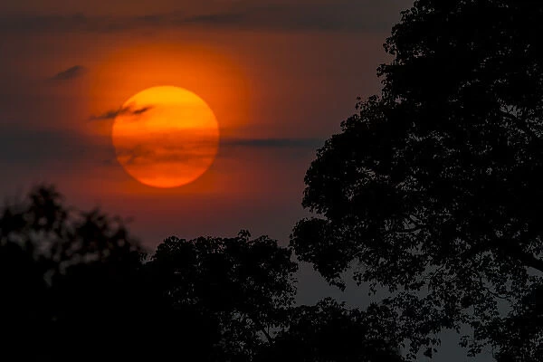 South America. Brazil. A colorful orange sunset in the Pantanal, the world s