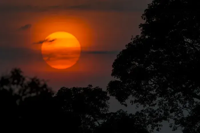 Framed Print : South America. Brazil. A colorful orange sunset in the Pantanal, the world s