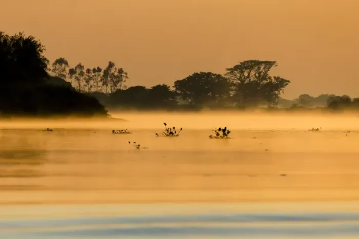 Framed Print : South America, Brazil, Mato Grosso, The Pantanal, Rio Cuiaba