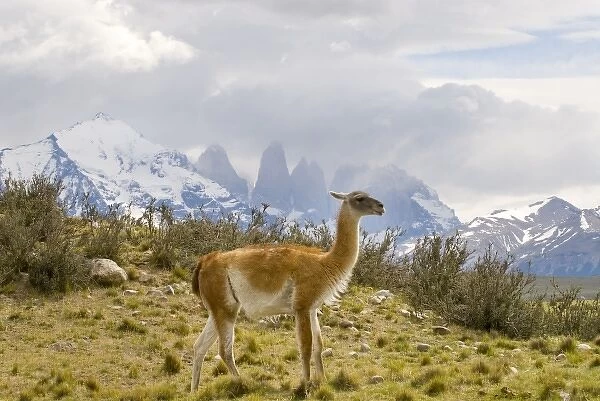 South America, Chile
