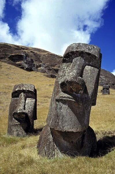 South America, Chile, Easter Island. The strong-featured moai at Rano Raraku on Easter Island