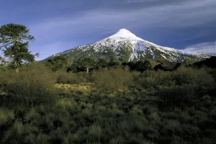 Framed Print : South America, Chile, La Araucania, Villarrica National Park. Lanin Volcano