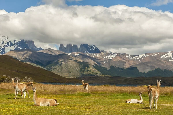 South America, Chile, Patagonia, Torres del Paine National Park. Landscape of mountains