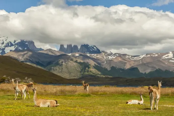 Framed Print : South America, Chile, Patagonia, Torres del Paine National Park. Landscape of mountains Framed Print : South America, Chile, Patagonia, Torres del Paine National Park. Landscape of mountains