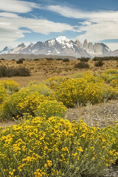 South America, Chile, Patagonia. Landscape of Torres del Paine