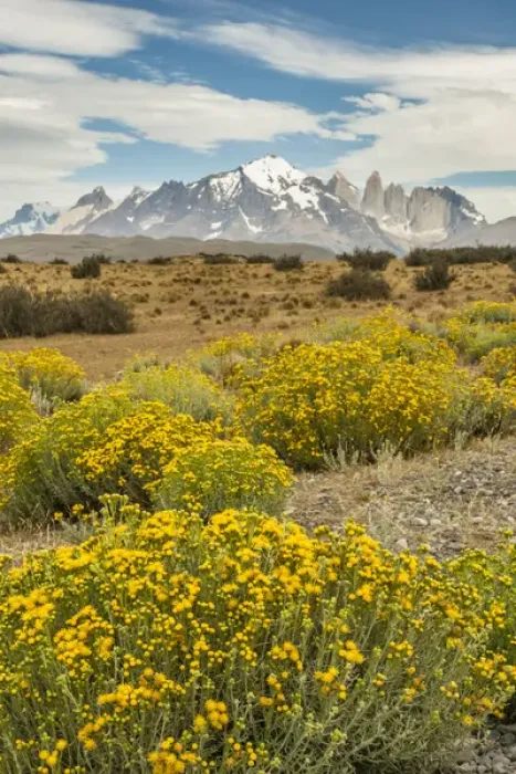 Framed Print : South America, Chile, Patagonia. Landscape of Torres del Paine Framed Print : South America, Chile, Patagonia. Landscape of Torres del Paine