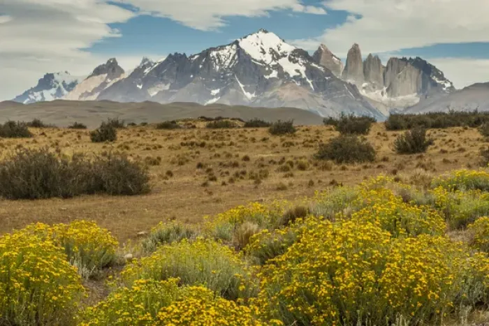 Framed Print : South America, Chile, Patagonia. Landscape of Torres del Paine Framed Print : South America, Chile, Patagonia. Landscape of Torres del Paine