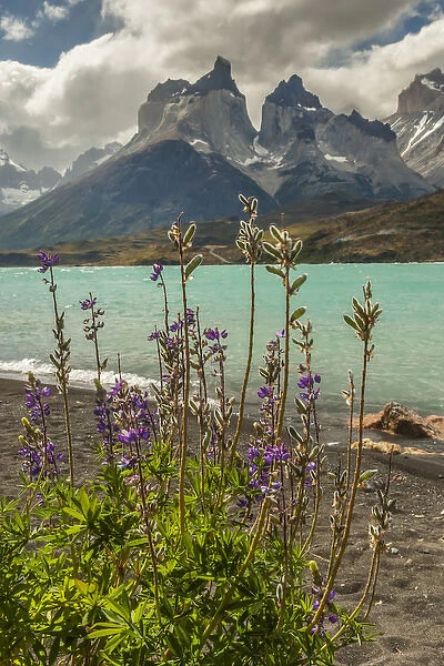 South America, Chile, Patagonia, Torres del Paine National Park. The Horns mountains and Lago Pehoe