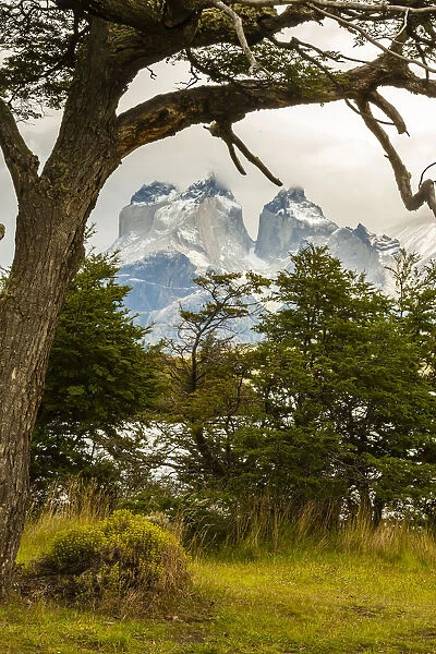 South America, Chile, Patagonia. Lake Pehoe and The Horns mountains