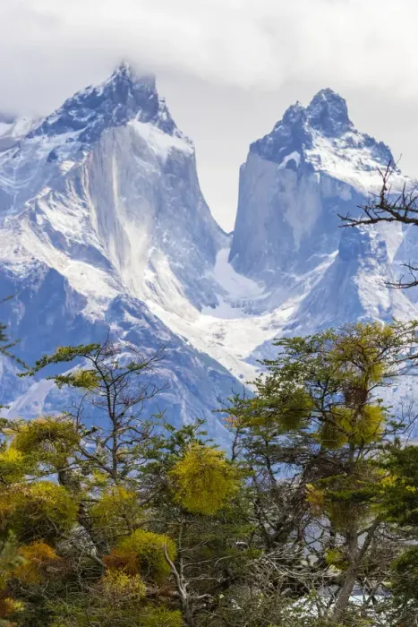Framed Print : South America, Chile, Patagonia. The Horns mountains Framed Print : South America, Chile, Patagonia. The Horns mountains