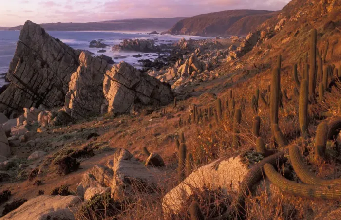 Framed Print : South America, Chile, Valparaiso Coast of El Yeco at sunset